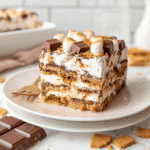 Indulge in S’mores Ice Cream Sandwich Cake, the ultimate summer treat combining chocolate, marshmallows, and cookies!